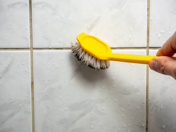 Best Mold Removal Specialists  in Solomons, MD
