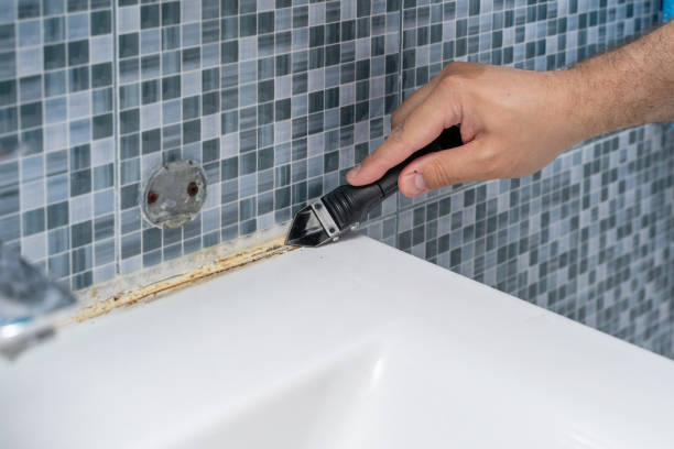 Best Commercial Mold Removal  in Solomons, MD
